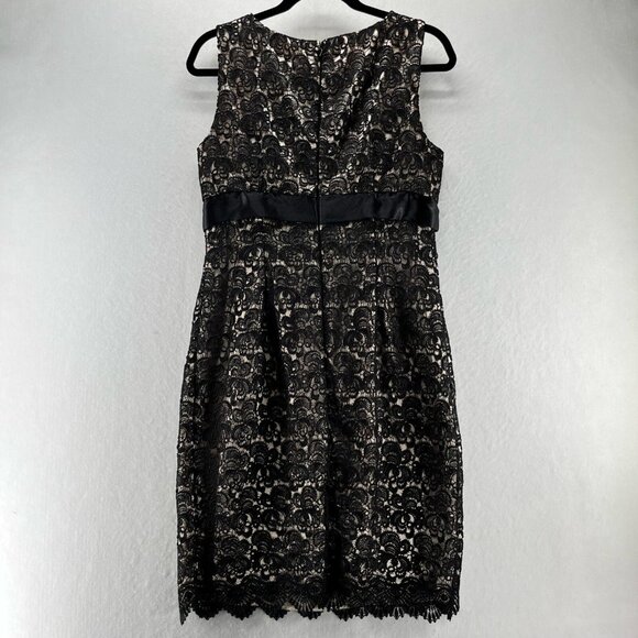 JS Collections Dress Size 6 Sheath Lace Overlay Knee Length Sleeveless Black - Picture 2 of 12